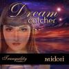 Download track Dream Catcher