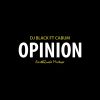 Download track Opinion