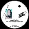 Download track Walls Painted A Deep Forest Green (Nick Minieri Remix)