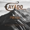 Download track Por Favor Regresa (Pista)