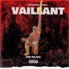 Download track Vaillant