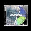 Download track Tidal Wave (EchoStorms & Chapter & Verse Radio Edit)