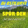 Download track Spür Den Sommer (Radio Hochdeutsch Mix)