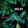 Download track Velzy