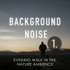 Download track Evening Walk In The Nature Ambience, Pt. 13