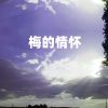 Download track 梅的情怀 (伴奏)