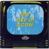 Download track The Size Of A Cow