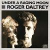 Download track Under A Raging Moon