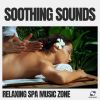 Download track Spa Treatment