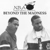 Download track Beyond The Madness