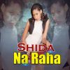 Download track Shida Na Raha