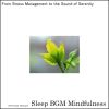 Download track In The Realm Of Deep Sleep Healing