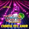 Download track La Cumbia Del Amor