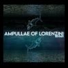 Download track Ampullae Of Lorenzini 02