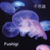 Download track Goodbye Fushigi'