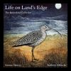 Download track The Godwit And Curlew