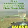 Download track Cool Ocean-Deep House 1 Hour Non Stop Mix