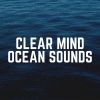 Download track Project Ocean