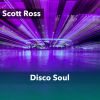 Download track Disco Soul (No Horn Section)