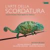 Download track Violin Sonata No. 1 In D Major: I. Sostenuto - Largo (From 