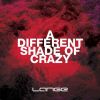 Download track A Different Shade Of Crazy (Original Mix)