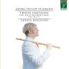 Download track Twelve Fantasias For Flute Without Bass, TWV 40: 5: No. 4 In B-Flat Major