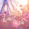 Download track 前人种花后人摘