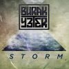 Download track Storm (Instrumental Mix)