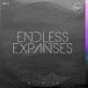 Download track Endless Expanses