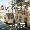 Download track 抹不掉的伤 (DJ咚鼓版)