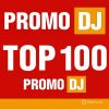 Download track Can't Stop The Feeling (DJ PitkiN Remix)