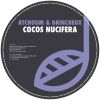 Download track Cocos Nucifera (Wurzelholz Milky Mix)