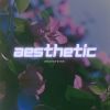 Download track Aesthetic (Radio Edit)