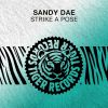 Download track Strike A Pose (Original Mix)