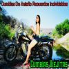 Download track El Gallito Copeton