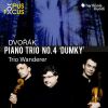 Download track Piano Trio No. 4 In E Minor, Op. 90 Dumky II. Poco Adagio - Vivace Non Troppo