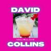 Download track Malibu Love