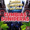 Download track La Cumbia Del Acordeon