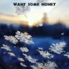 Download track Want Some Honey