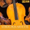 Download track String Quartet No. 1 In G Minor, Op. 27 II. Romanze. Andantino - Allegro Agitato
