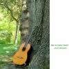 Download track A Shade Of Green Trees