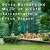 Download track Bossa Expression