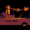 Download track I Feel Good (Radio Edit)