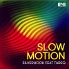 Download track Slow Motion (Dub)