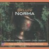 Download track Vanne, E Li Cela Entrambi [Norma, Clotilde]