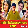 Download track Ninakkinnitha