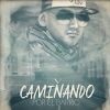 Download track Caminando Por El Barrio