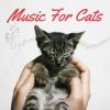 Download track Cat Sleeping Music