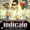 Download track Indícale