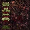 Download track Driven By Deranged Perceptivity